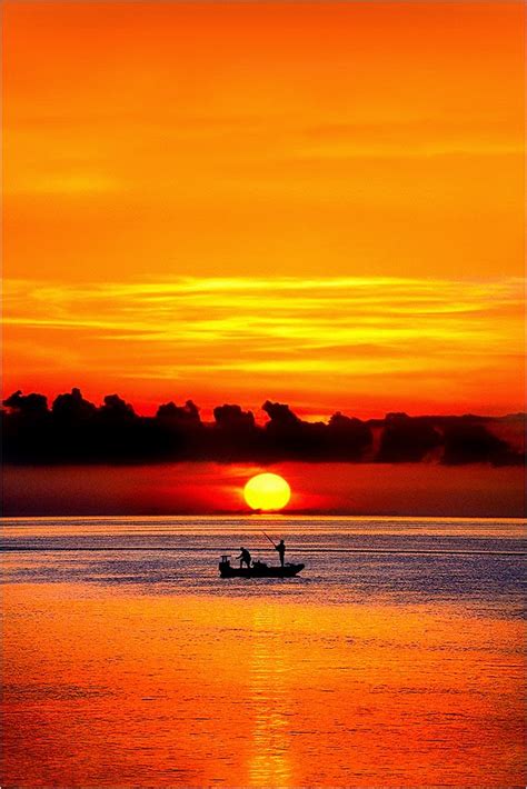 Sunset silhouette photography ~ Dreamy Nature