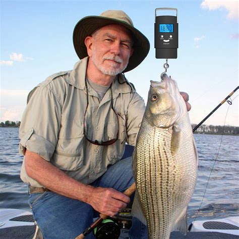 Juslike Fish Scale, Hanging Scale Portable Dial Scale,LCD Digital ...