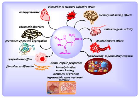 Sustainability | Free Full-Text | Allantoin from Valuable Romanian Animal and Plant Sources with ...