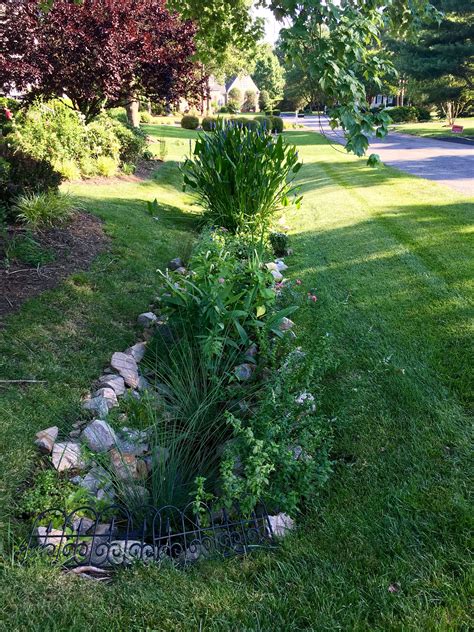 Drainage ditch turned beautiful … | Landscape drainage, Drainage ditch, Rain garden