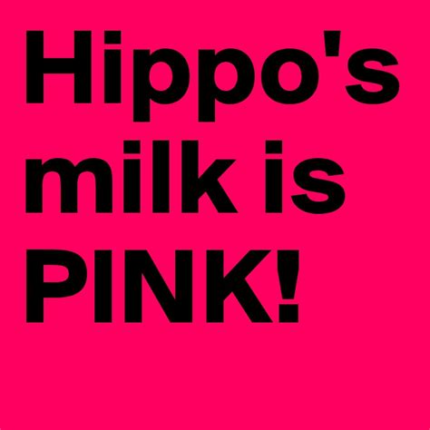 Hippo's milk is PINK! - Post by puddinfall on Boldomatic