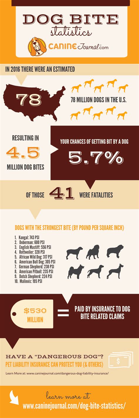 Dog Bite Statistics (How Likely Are You To Get Bit?) - Canine Journal