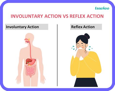 [Bio] How are involuntary & reflex actions different from each other?