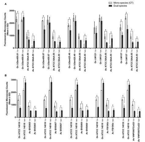 Figure 2 from Gardnerella vaginalis Enhances Atopobium vaginae ...