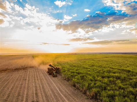 Harvesting sugarcane as part of biofuels production in Brazil stock photo