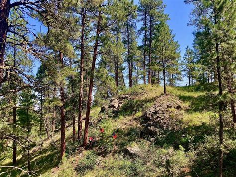 Northern Cheyenne Reservation - The Climate Trust