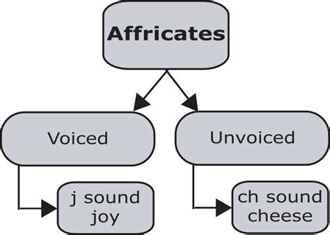 Introduction to Affricates — Pronuncian: American English Pronunciation