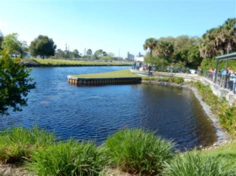 Manatee Park (Fort Myers) - 2020 All You Need to Know BEFORE You Go ...