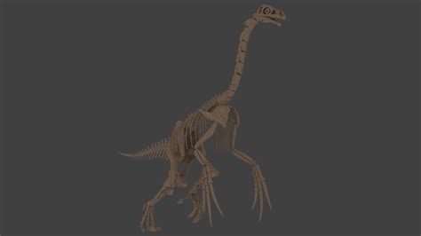 3D therizinosaurus skeleton model - TurboSquid 1192584