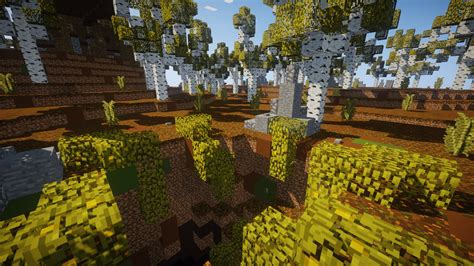 Birch Forest Minecraft Map