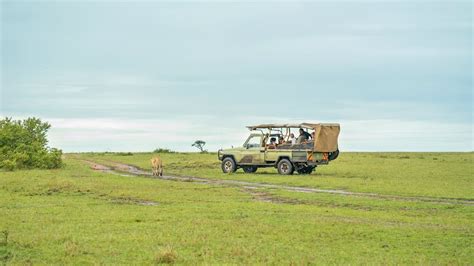 Basecamp Masai Mara - Career Break