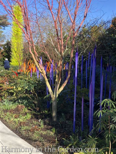 Chihuly Garden and Glass in Winter - Harmony in the Garden