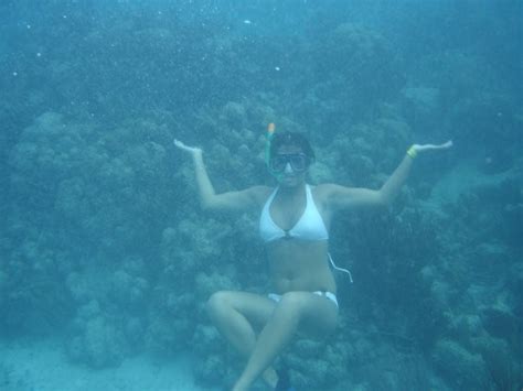 costa-maya-snorkeling-tour (1) - Tequila Beach Tours