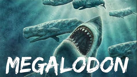 Megalodon Documentary - YouTube