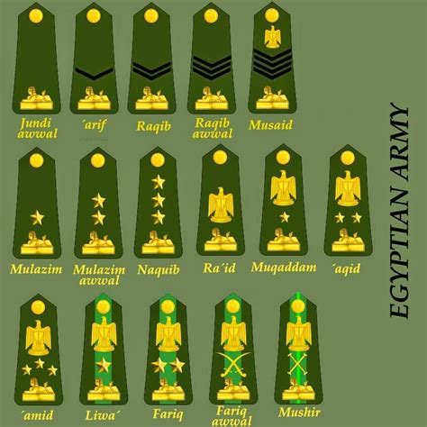 Egyptian Army Ranks