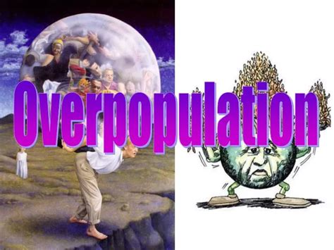 PPT - Overpopulation PowerPoint Presentation - ID:3950835