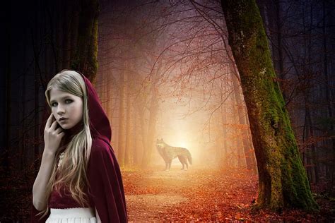 little red riding hood, tale, wolf, girl, story, fantasy, forest, fairytale, hood, woods | Pxfuel