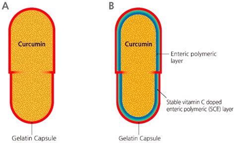 Polymers | Free Full-Text | 3-O-Ethyl-L-Ascorbic Acid Doped Enteric-Coated Gelatin Capsules ...