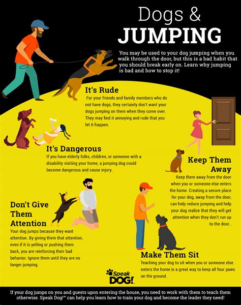 Details Of 80+ Best How To Stop A Dog From Jumping