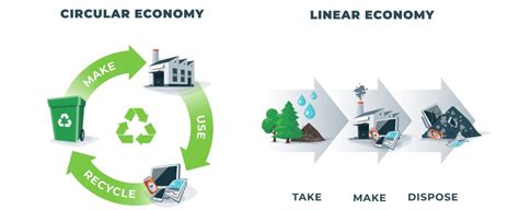 How is a circular economy different from a linear economy? - A & A Packaging