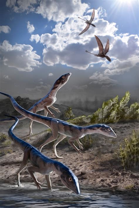 Newly Discovered Specimens Uncovered by NHMLAC Dinosaur Institute Help ...