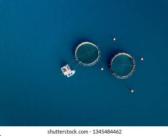 9,233 Aquaculture technology Images, Stock Photos & Vectors | Shutterstock