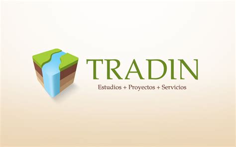 Tradin Logo | Consultor Visual