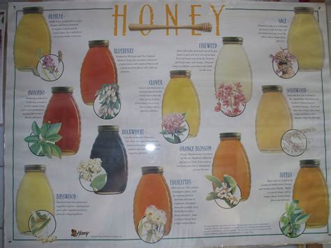 Edmond's Farm: Different Types of Honey