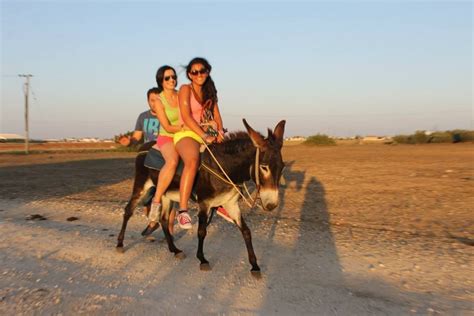 riding | VK | Riding, Donkey, Animals