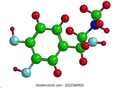 Molecular Structure Adrenaline Epinephrine Adrenaline Epinephrine Stock Illustration 1022360902 ...