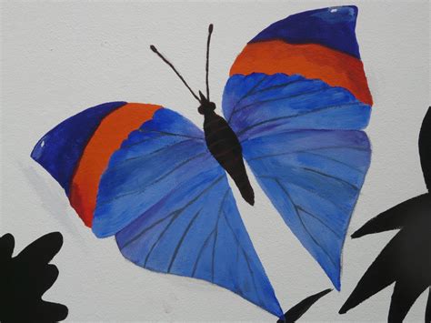 Free Images : wing, leaf, animal, umbrella, color, insect, blue, butterfly, invertebrate ...