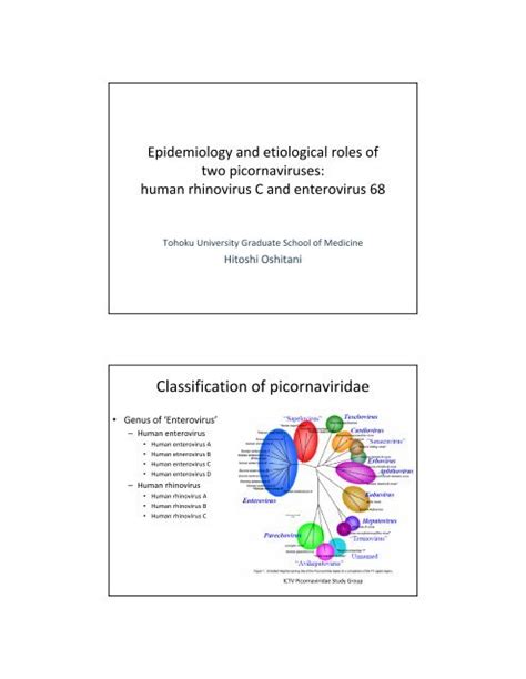 Classification of picornaviridae