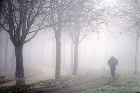 un poco de niebla - Taringa!