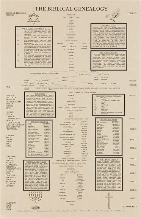 Buy The Biblical Genealogy Chart, Family Tree from Adam to Jesus, Books of the Bible Timeline ...