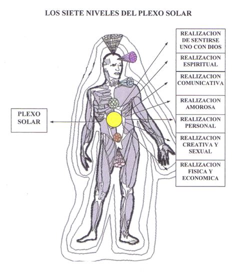 Solar Plexus Where Is It Located