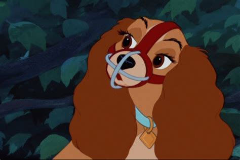 Lady and the Tramp - Disney's Lady and the Tramp Image (9960342) - Fanpop