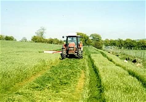 Grassland Farmers to Get Top Tips on Reseeding Practice