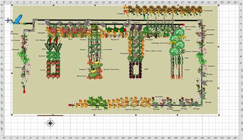 Garden Plan - 2017: Container Gardens