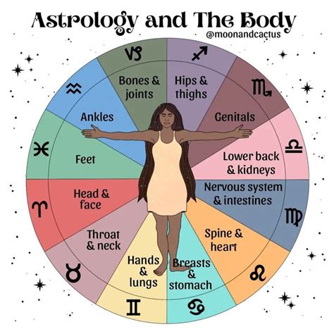 ~𝑪𝒉𝒓𝒊𝒔𝒕𝒊𝒏𝒂~ on Instagram: “ Astrology and The Body Did you know that ...