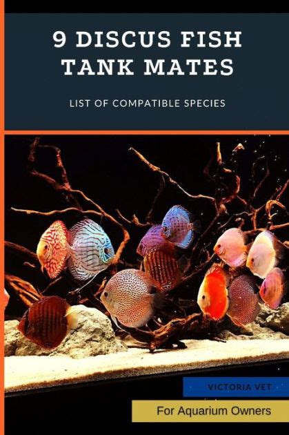 9 Discus Fish Tank Mates: List of Compatible Species by Victoria Vet, Paperback | Barnes & Noble®