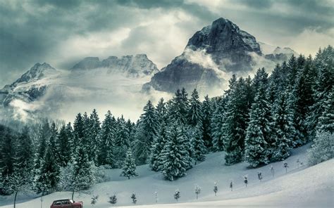 Pine trees Wallpaper 4K, Winter, Forest, Mountains, Peak