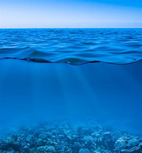 Still calm sea water surface with clear sky and underwater worl — Stock ...