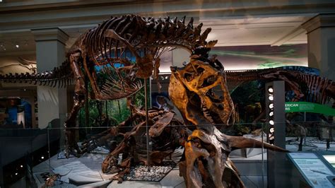 The Smithsonian’s new dinosaur hall is a marvel. But its ties to David Koch are a problem. - The ...