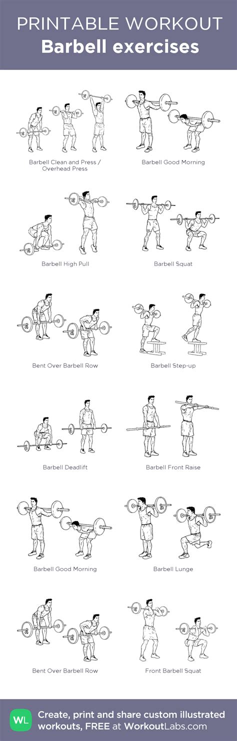 Barbell exercises: my visual workout created at WorkoutLabs.com • Click ...