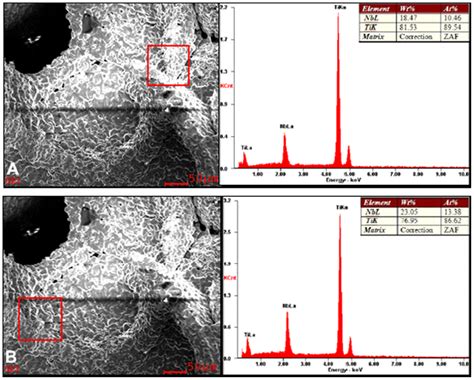 EDS analysis of alloy specimens. (A-B) EDS analysis of different... | Download Scientific Diagram