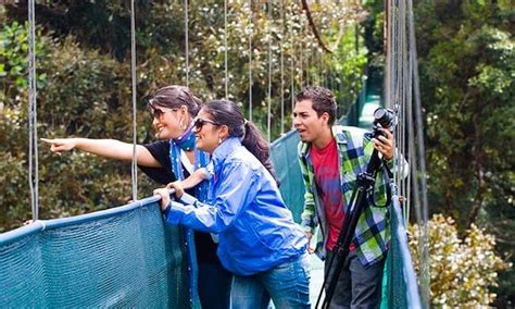 Costa Rica Tours - Sky Trek Monteverde