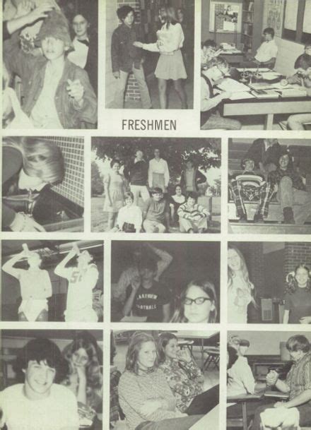 Explore 1973 Lakeview High School Yearbook, Lakeview MI - Classmates