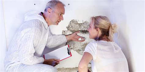 Everything You Need to Know About a Termite Inspection - Pest Solutions Socal