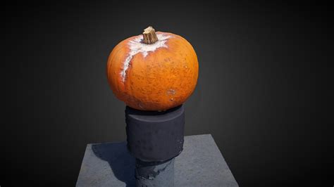 Rotten Pumpking on the Roof - Download Free 3D model by DAC Photoscan ...