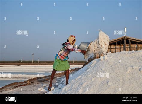 Salt pans on tuticorin Salt Lake, India. It is India's largest saline lake and where salt has ...